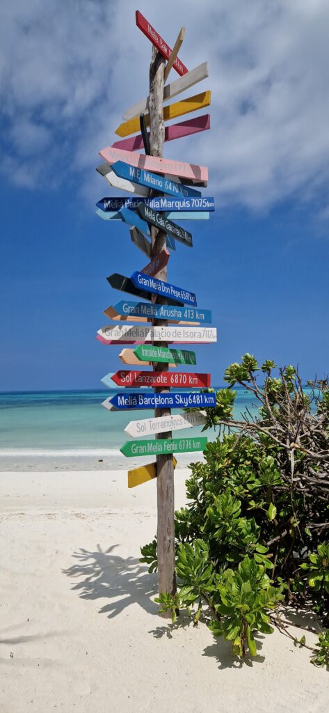 Psychoterapia coaching psychoterapia łódź