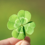 szczęśliwe życie, psychoterapia gestalt, coaching